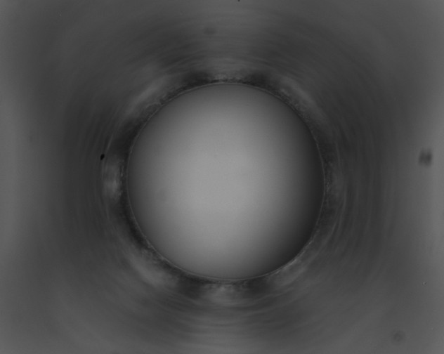 X0000091520074200708311258