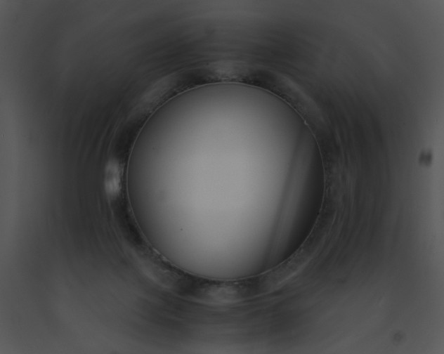 X0000091520075200708311258