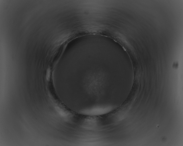 X0000091520076200708311258