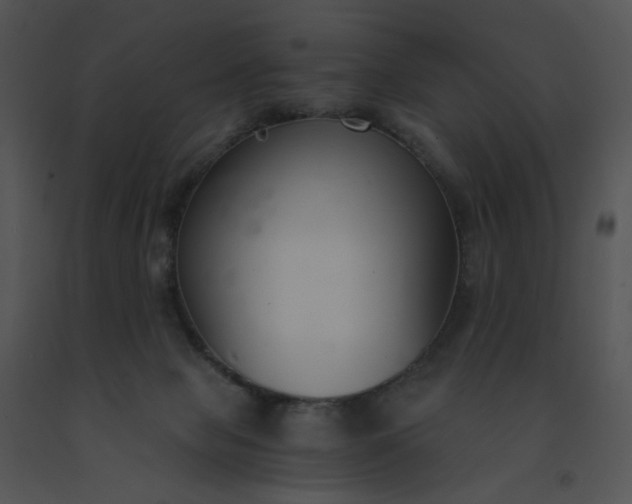 X0000091520077200708311258