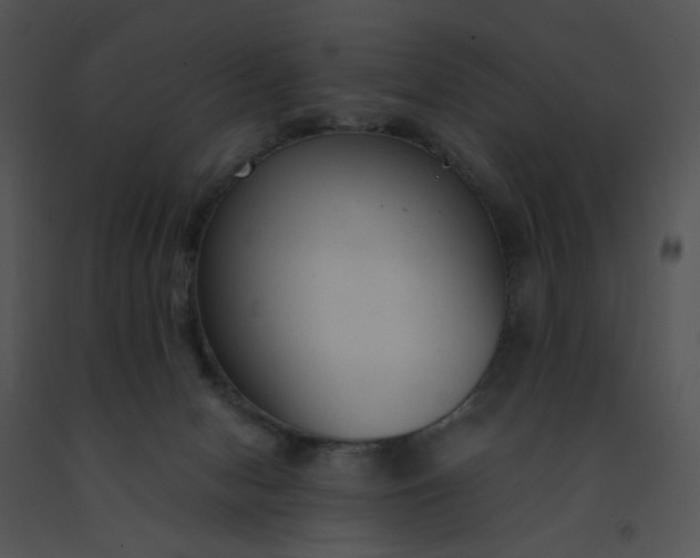 X0000091520078200708311258