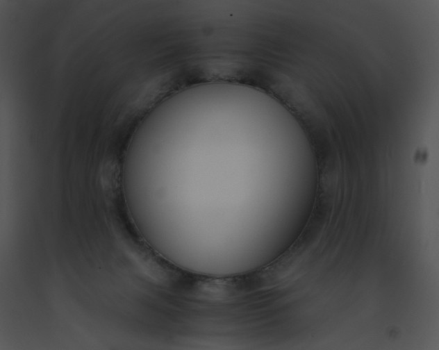 X0000091520079200708311258