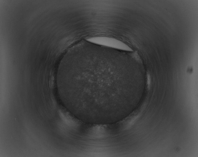 X0000091520080200708311259