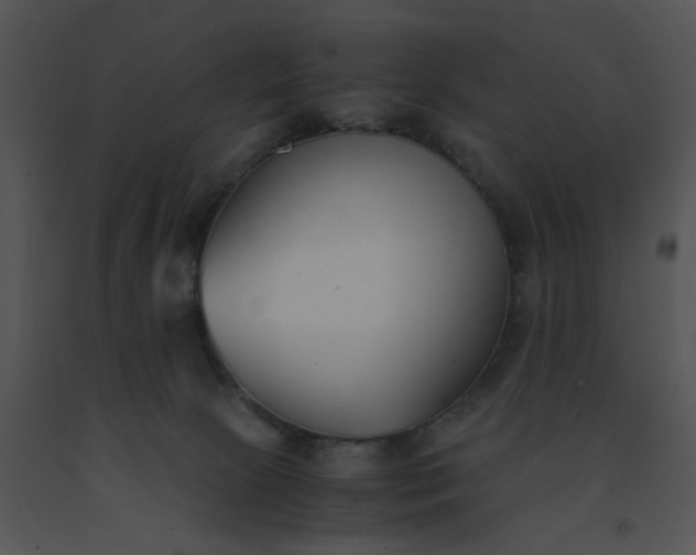 X0000091520081200708311259