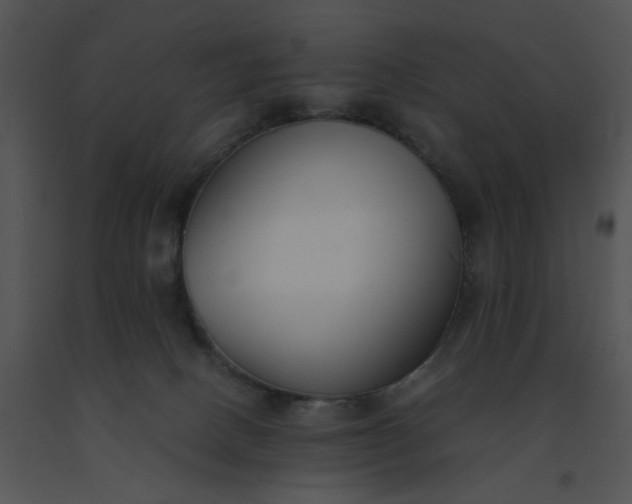 X0000091520082200708311259