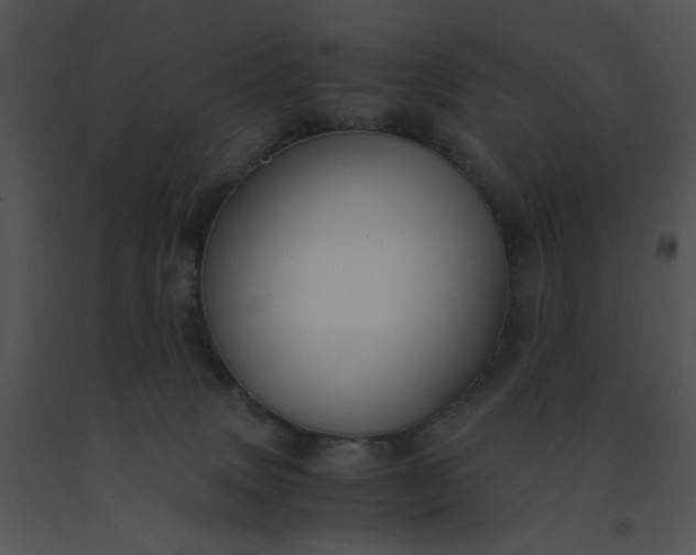 X0000091520083200708311259