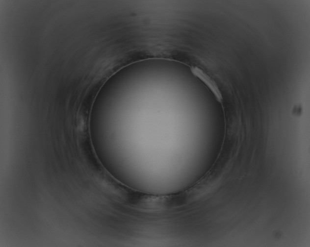 X0000091520084200708311259