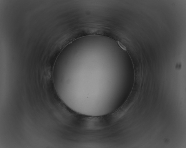 X0000091520085200708311259