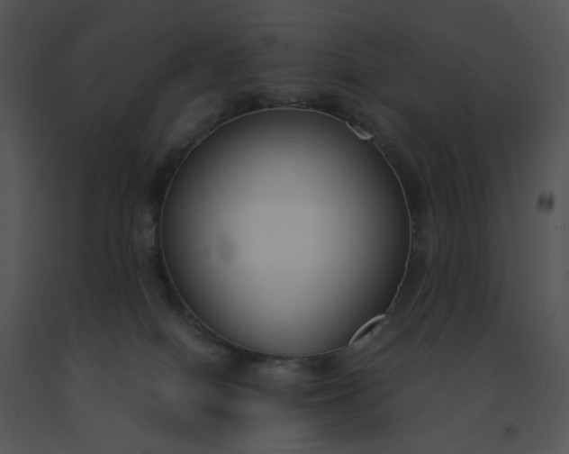 X0000091520086200708311259