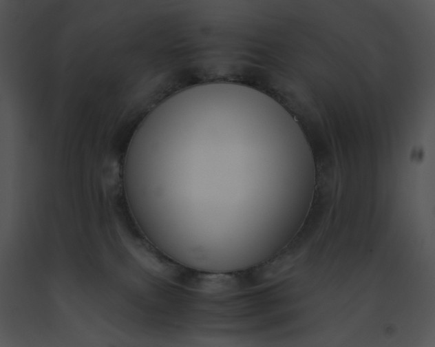 X0000091520087200708311259