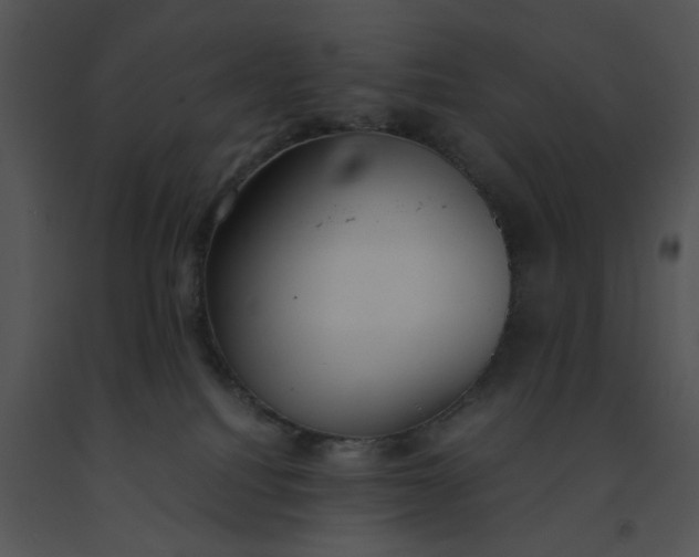 X0000091520088200708311259