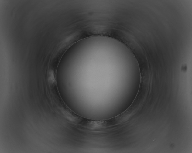 X0000091520089200708311259