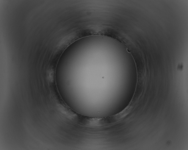 X0000091520090200708311259