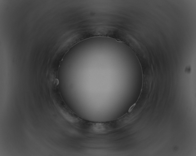 X0000091520091200708311259