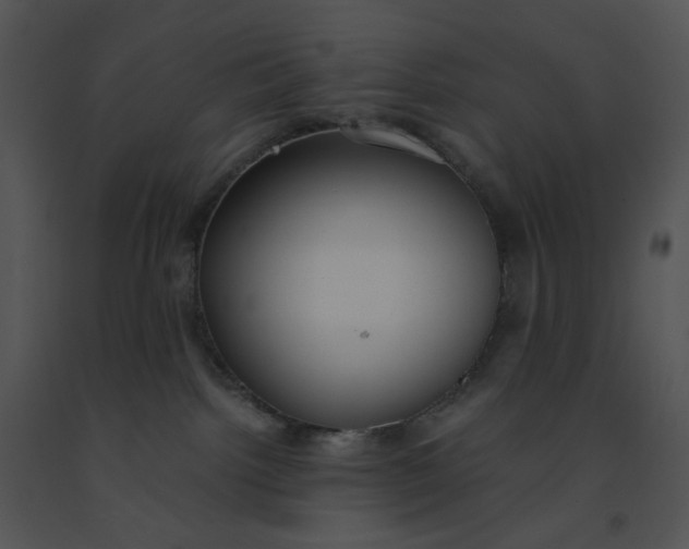 X0000091520092200708311259