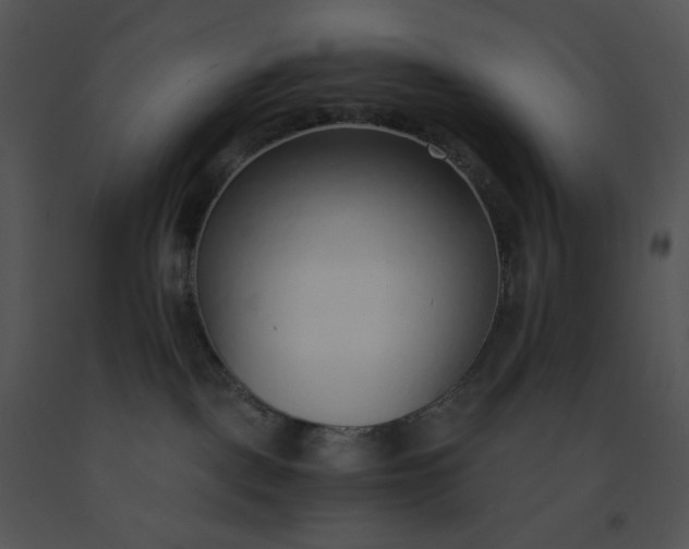 X0000091520093200708311259