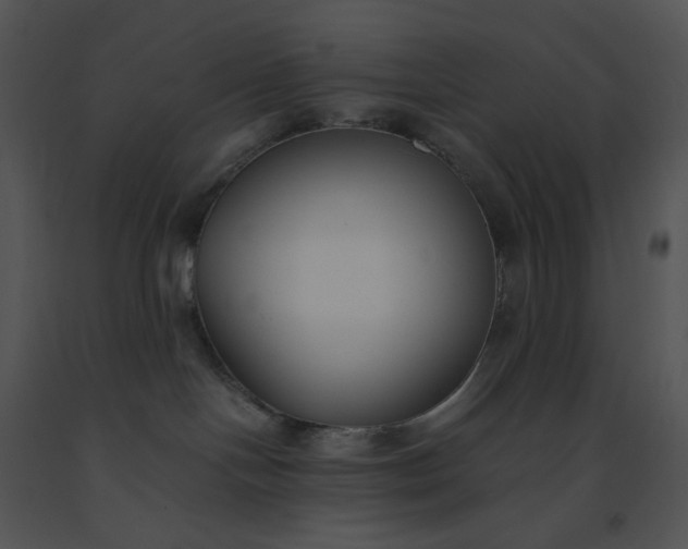 X0000091520094200708311259