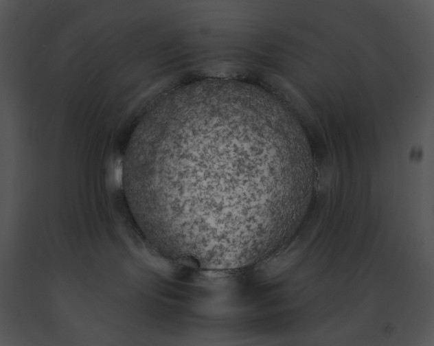 X0000091520095200708311259