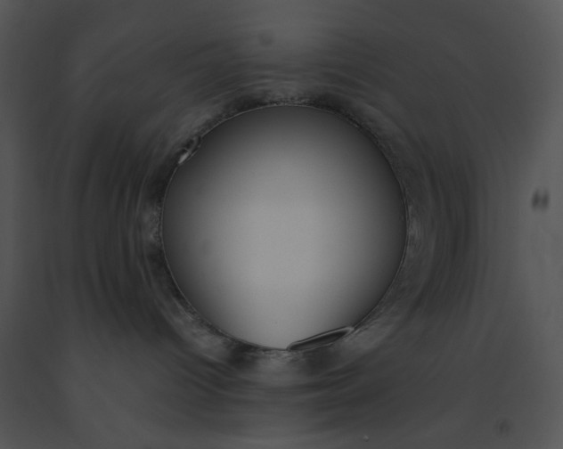 X0000091520096200708311259