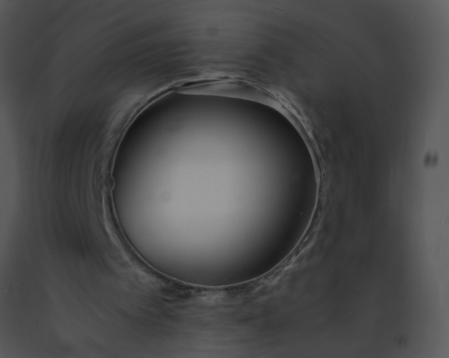 X0000091520097200708311258