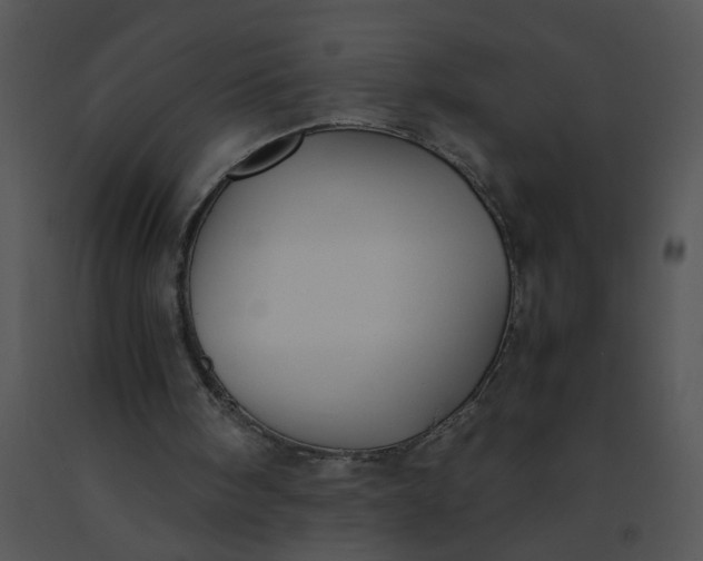 X0000091520098200708311258