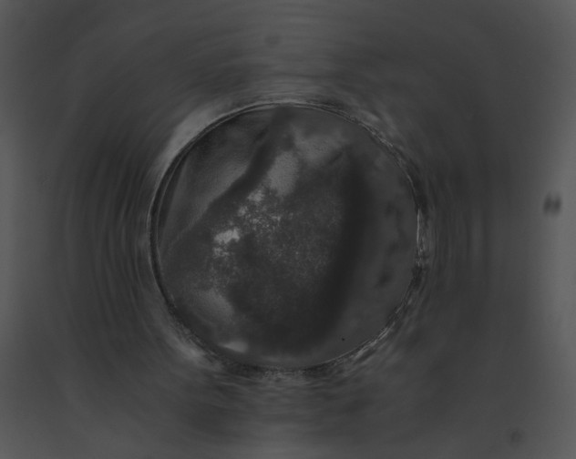 X0000091520099200708311258