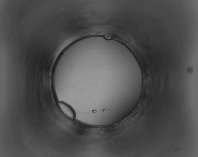 X0000091520100200708311258