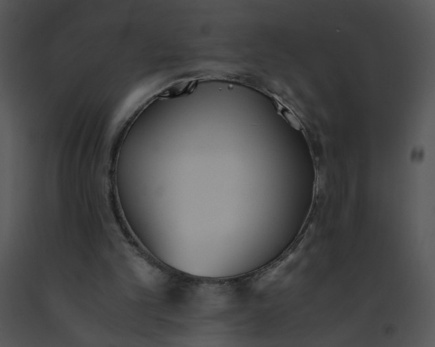 X0000091520101200708311258