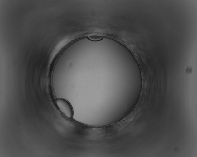 X0000091520102200708311258