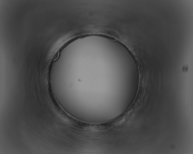 X0000091520103200708311258