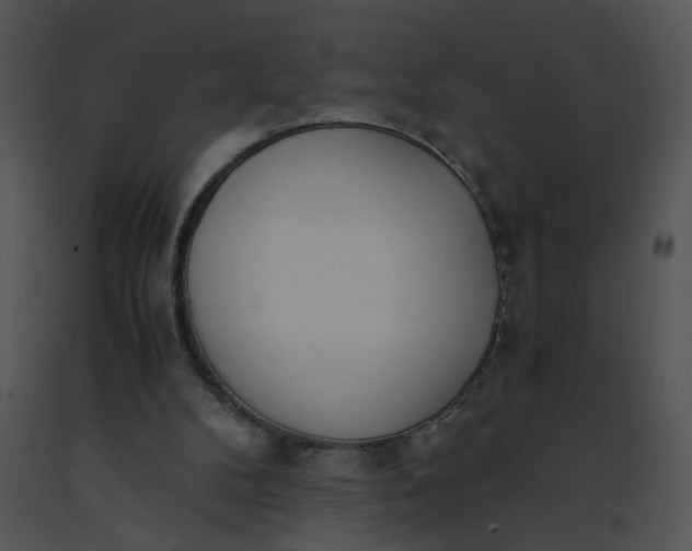 X0000091520104200708311258