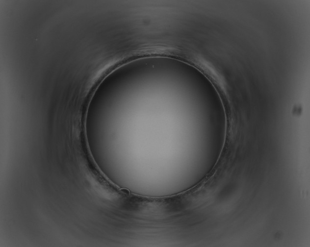 X0000091520107200708311258