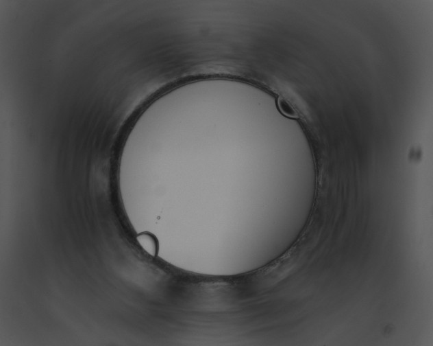 X0000091520108200708311258