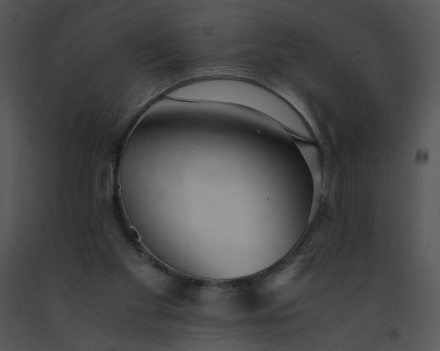 X0000091520109200708311258