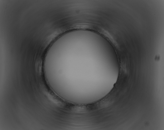 X0000091520110200708311258