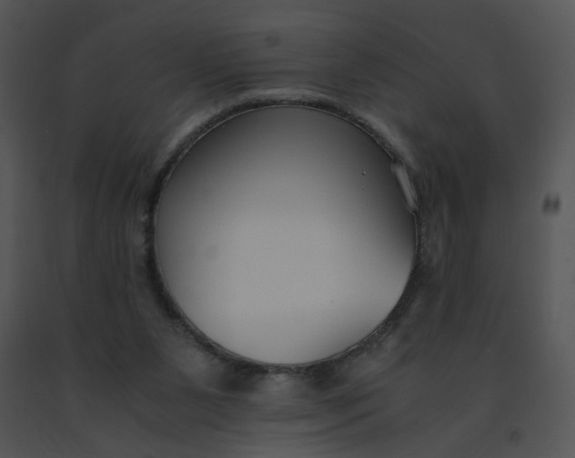 X0000091520111200708311258