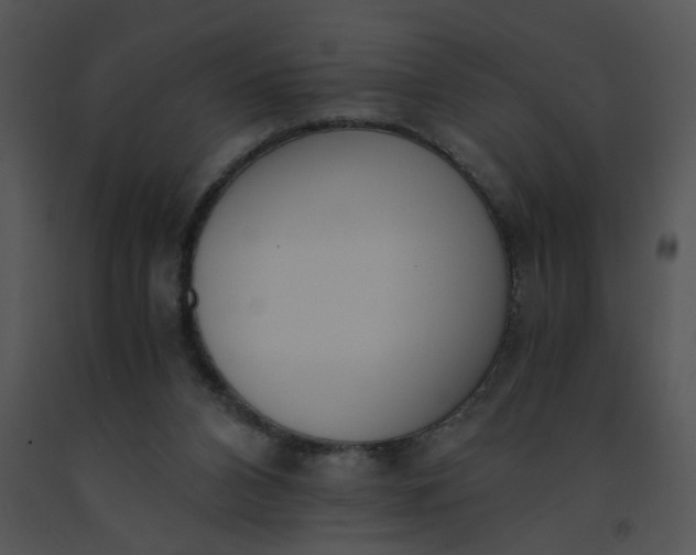 X0000091520112200708311258