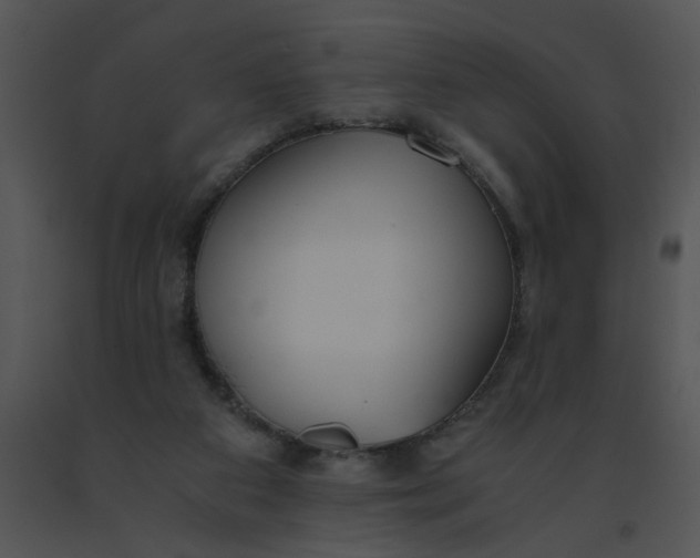 X0000091520113200708311258