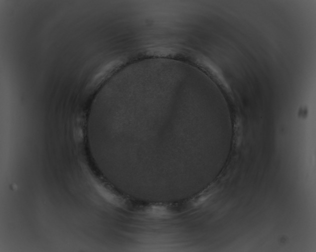 X0000091520114200708311258