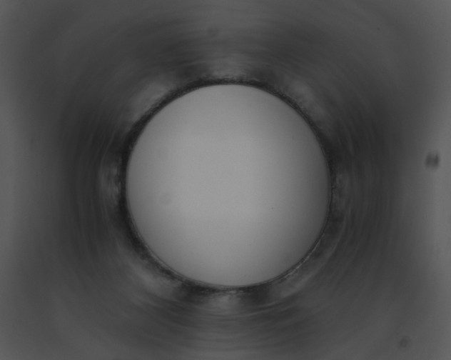 X0000091520116200708311258