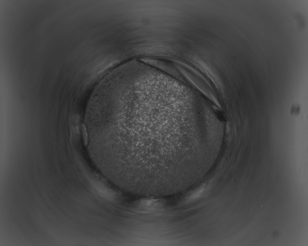 X0000091520117200708311258