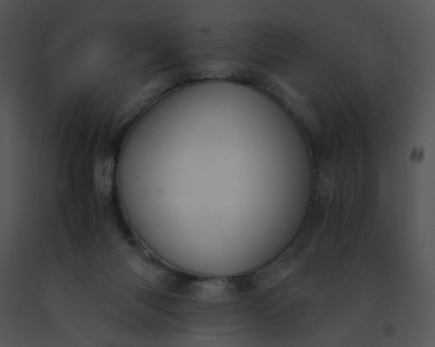 X0000091520118200708311258