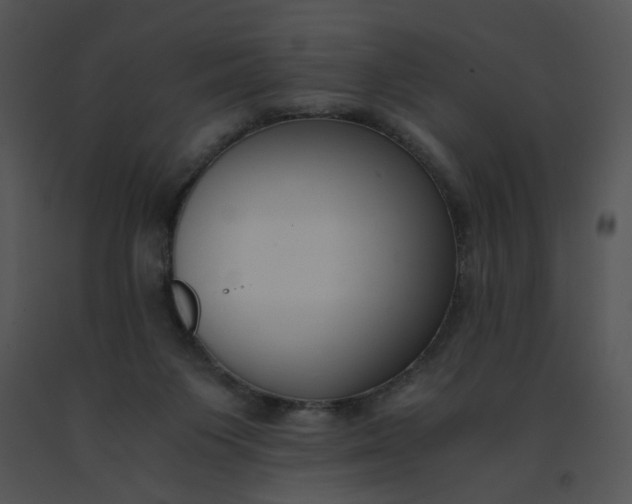 X0000091520119200708311258