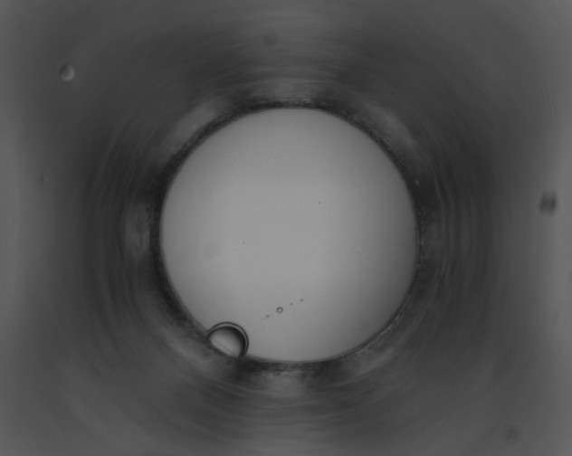 X0000091520120200708311258