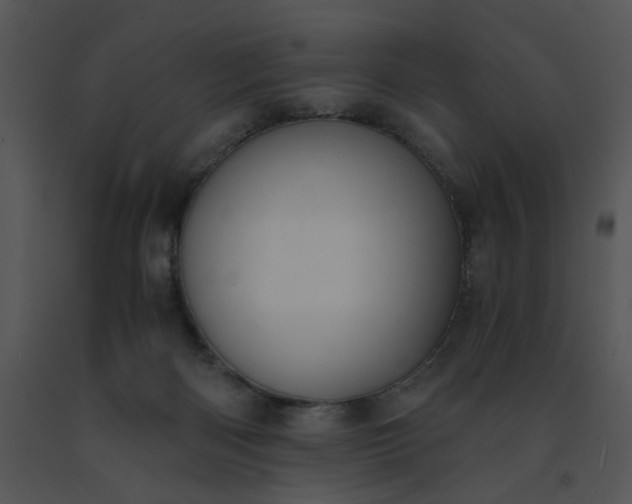 X0000091520122200708311257