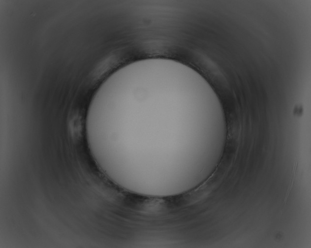 X0000091520124200708311257