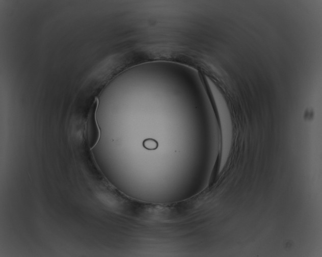 X0000091520125200708311257