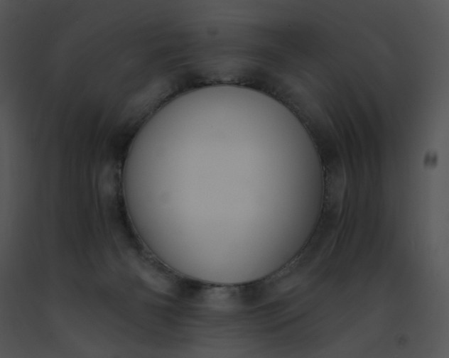 X0000091520126200708311257