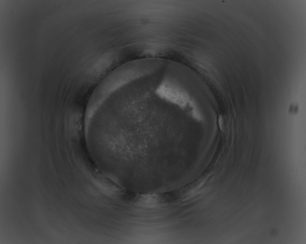 X0000091520127200708311257