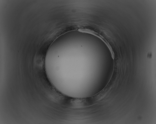 X0000091520129200708311257